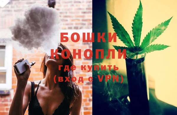ГАЛЛЮЦИНОГЕННЫЕ ГРИБЫ Верея