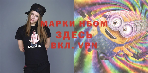 ГАЛЛЮЦИНОГЕННЫЕ ГРИБЫ Верея