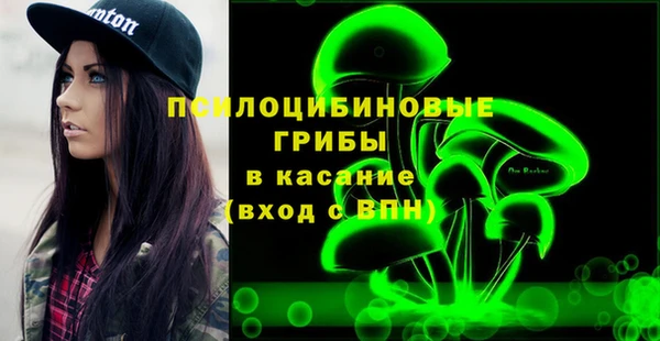 ГАЛЛЮЦИНОГЕННЫЕ ГРИБЫ Верея