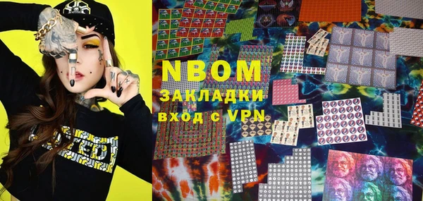 ГАЛЛЮЦИНОГЕННЫЕ ГРИБЫ Верея