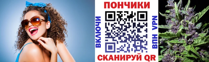 Бошки марихуана сатива OMG зеркало Завитинск